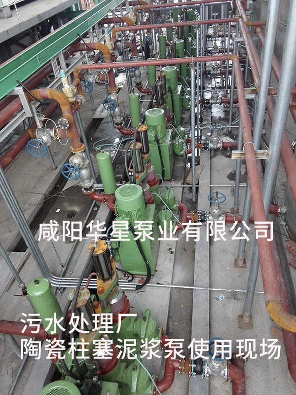 山东淄博光大水务-市政污水处理-水印4