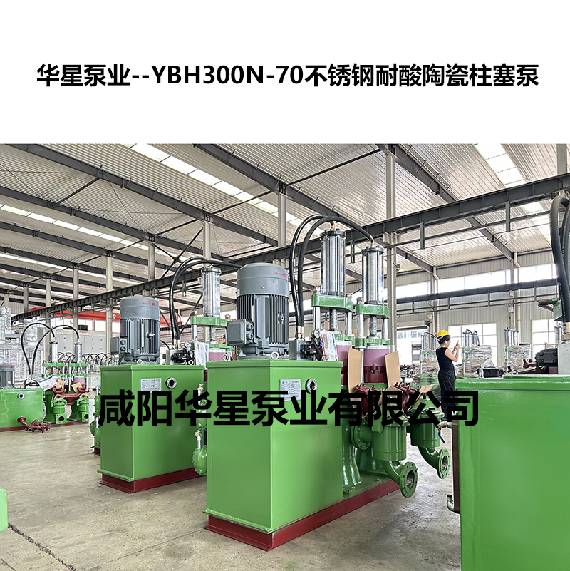 YBH300N-70不锈钢耐酸陶瓷柱塞泵-02.jpg