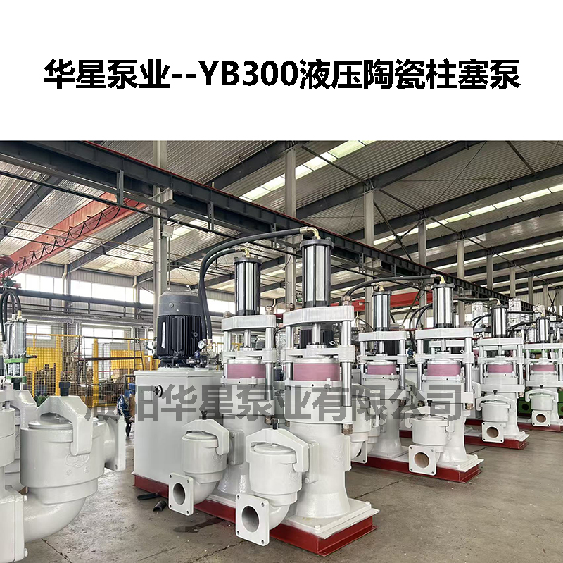 YB300液压陶瓷柱塞泵-03