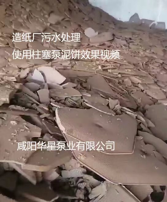 微信图片_20250906114203_251_27