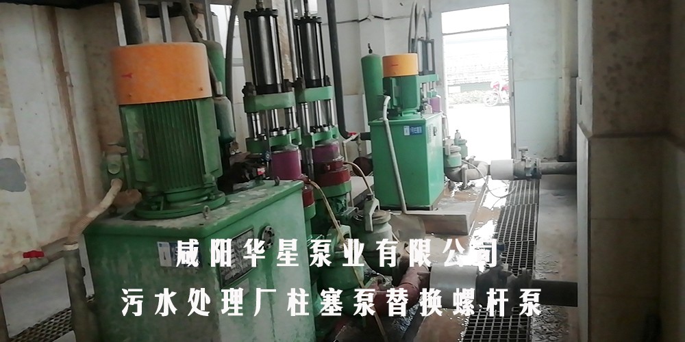贵州都匀污水处理厂柱塞泵替换螺杆泵